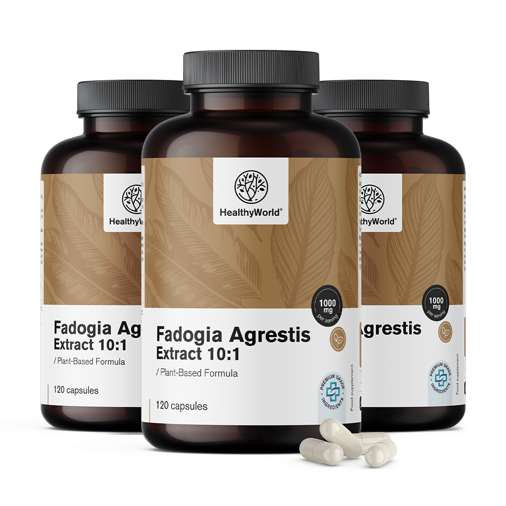 Fadogia Agrestis 1000 mg u kapsulama.