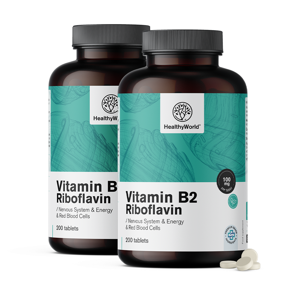 Vitamin B2 – riboflavin 100 mgVitamin B2 – riboflavin 100 mg